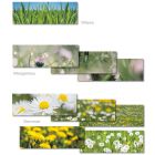 Karten-Sets Blühstreifen "Wiese, Morgentau, Sommer"