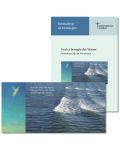 Trinitatiszeit (2014) zur Karte "Der Engel des Herrn"