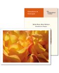 Pfingsten (2017) zur Karte "Rose"