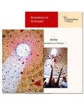 "Belebt". Gottesdienst zu Pfingsten (2024) zur Klappkarte "Blütenblätter im Pantheon"