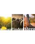 Reihe "Himmelreich" - Klappkarten "Wachsen, Finden, Hören"