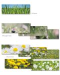 Karten-Sets Blühstreifen "Wiese, Morgentau, Sommer"