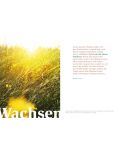 Klappkarte "Wachsen" (zu Markus 4, 30-32)